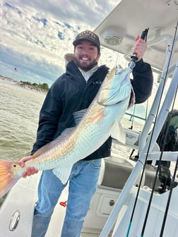 Fishing in Orange Beach, Alabama