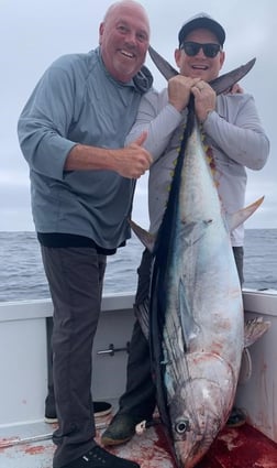 Yellowtail Amberjack Fishing in Dana Point, California