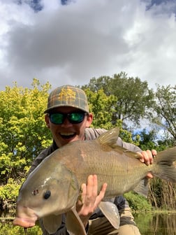 Smallmouth Buffalo Fishing in Austin, Texas