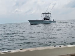 Fishing in Virginia Beach, Virginia