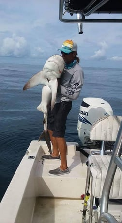 Blacktip Shark Fishing in Daytona Beach, Florida