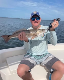 Speckled Trout / Spotted Seatrout fishing in Sarasota, Florida