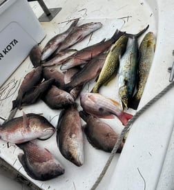 Flounder Fishing in Panama City, Florida