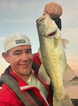 Largemouth Bass Fishing in Austin, Texas