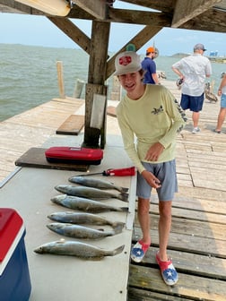 Speckled Trout / Spotted Seatrout fishing in Texas City, Texas