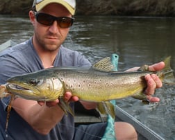 Brown Trout Fishing in Johnson City, Tennessee