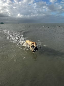 Fishing in South Padre Island, Texas