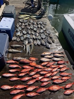 Fishing in Marathon, Florida