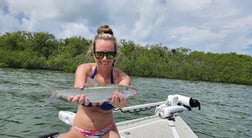 Black Grouper Fishing in Islamorada, Florida