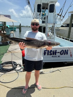 Fishing in Biloxi, Mississippi