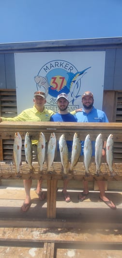 Flounder, Redfish, Speckled Trout / Spotted Seatrout fishing in Corpus Christi, Texas