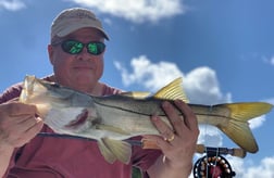 Snook Fishing in Palm Beach, Florida, USA