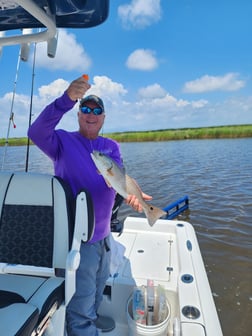 Fishing in Saint Bernard, Louisiana