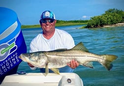 Snook fishing in St. Petersburg, Florida