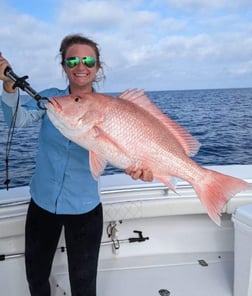 Red Snapper Fishing in Clearwater, Florida