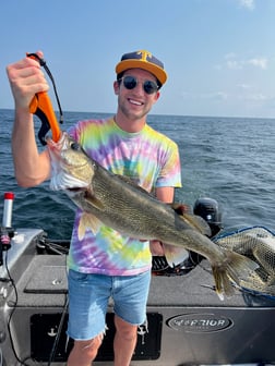 Coho Salmon fishing in Port Clinton, Ohio