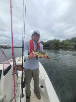 Fishing in Austin, Texas