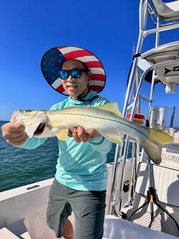 Fishing in Sarasota, Florida