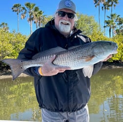 Snook Fishing in Tampa, Florida