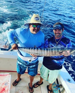 False Albacore, Wahoo Fishing in Pompano Beach, Florida