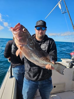 Fishing in Clearwater, Florida