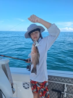 Fishing in Sarasota, Florida