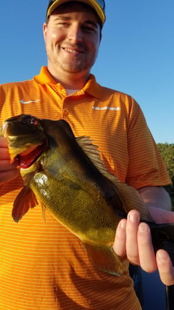 Peacock Bass Fishing in Fort Lauderdale, Florida