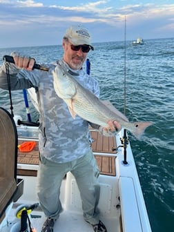 Red Grouper fishing in Little River, South Carolina