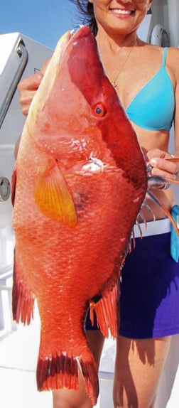 Fishing in Tierra Verde, Florida