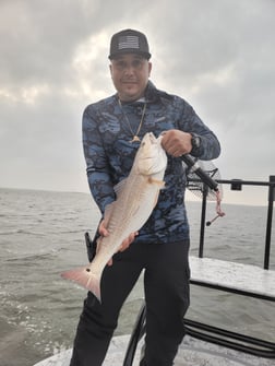 Redfish Fishing in Rio Hondo, Texas