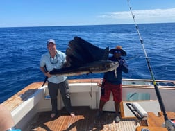 Sailfish Fishing in Cabo San Lucas, Baja California Sur