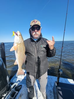 Redfish Fishing in Rio Hondo, Texas