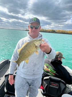 Perch Fishing in Manistee, Michigan