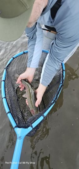 Fishing in Broken Bow, Oklahoma