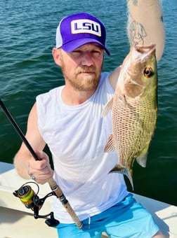 Speckled Trout Fishing in Tampa, Florida