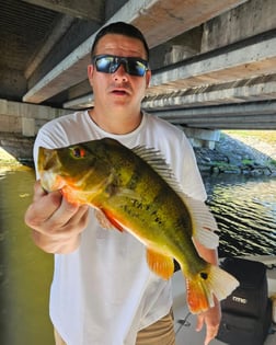 Fishing in Delray Beach, Florida