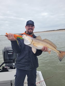 Redfish, Sheepshead Fishing in Port O'Connor, Texas