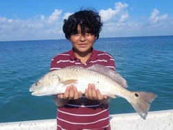 Black Drum, Redfish Fishing in Port Isabel, Texas