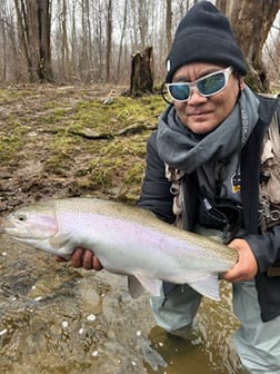 Rainbow Trout Fishing in Conneaut, Ohio