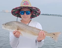 Redfish Fishing in Clearwater, Florida