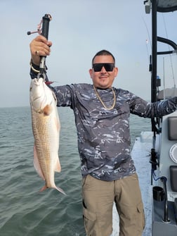 Redfish Fishing in Rio Hondo, Texas