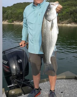 Striped Bass Fishing in Graford, Texas