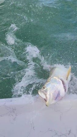 Tarpon fishing in Port O'Connor, Texas