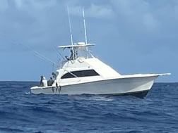 Fishing in San Juan, Puerto Rico