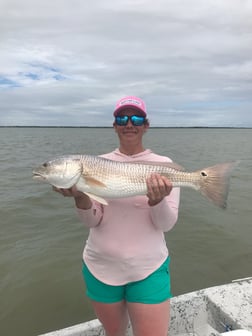 Black Drum, Flounder Fishing in Rockport, Texas