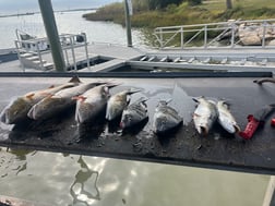 Fishing in Galveston, Texas