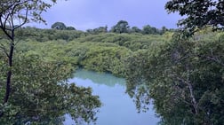 Fishing in Puerto Jiménez, Puntarenas Province