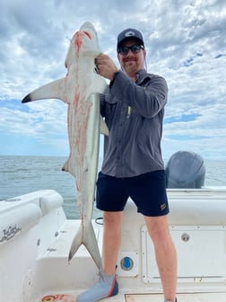 Blacktip Shark Fishing in Surfside Beach, Texas