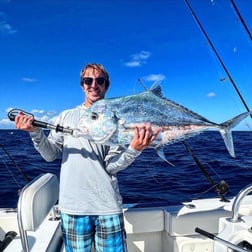 Yellowtail Snapper Fishing in Tavernier, Florida