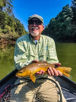 Brown Trout fishing in Roswell, Georgia